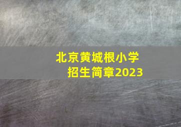 北京黄城根小学招生简章2023