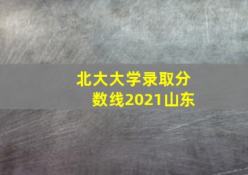 北大大学录取分数线2021山东