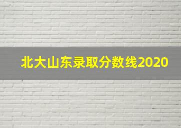 北大山东录取分数线2020