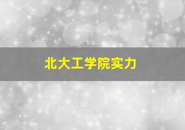 北大工学院实力