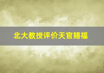 北大教授评价天官赐福