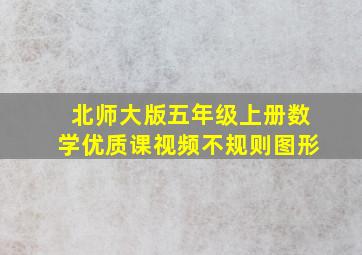 北师大版五年级上册数学优质课视频不规则图形