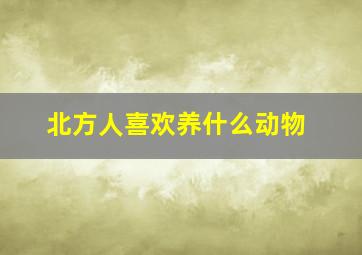 北方人喜欢养什么动物