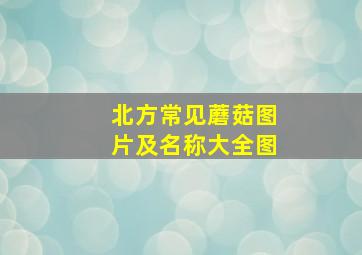 北方常见蘑菇图片及名称大全图