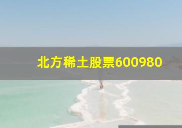 北方稀土股票600980