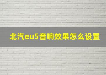 北汽eu5音响效果怎么设置