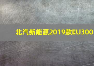 北汽新能源2019款EU300