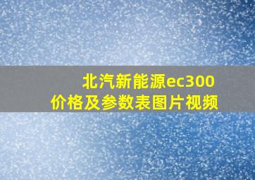 北汽新能源ec300价格及参数表图片视频