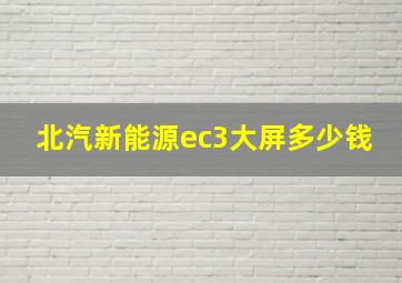 北汽新能源ec3大屏多少钱