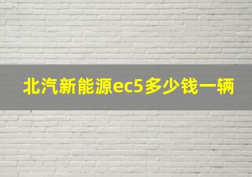 北汽新能源ec5多少钱一辆