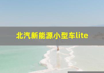 北汽新能源小型车lite