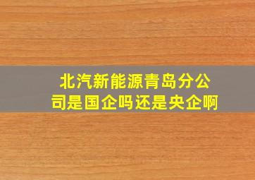 北汽新能源青岛分公司是国企吗还是央企啊