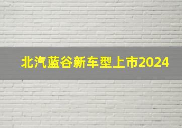 北汽蓝谷新车型上市2024