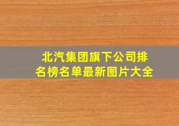 北汽集团旗下公司排名榜名单最新图片大全