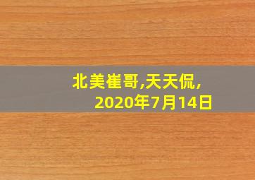 北美崔哥,天天侃,2020年7月14日