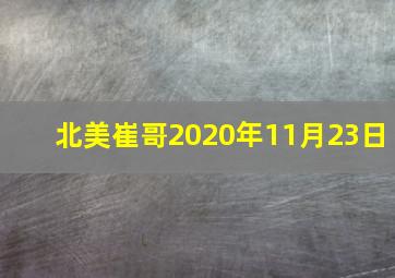 北美崔哥2020年11月23日