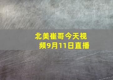 北美崔哥今天视频9月11日直播