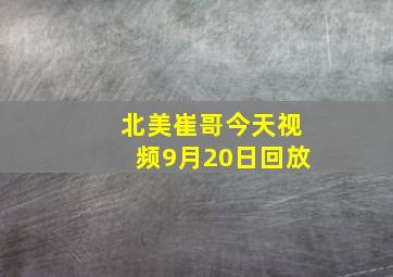 北美崔哥今天视频9月20日回放