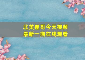 北美崔哥今天视频最新一期在线观看