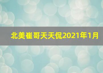 北美崔哥天天侃2021年1月