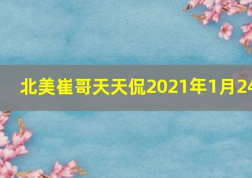 北美崔哥天天侃2021年1月24