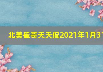 北美崔哥天天侃2021年1月31