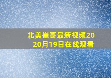 北美崔哥最新视频2020月19日在线观看