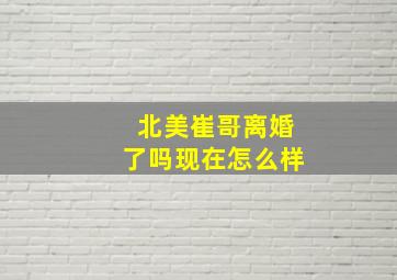 北美崔哥离婚了吗现在怎么样