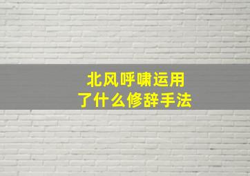 北风呼啸运用了什么修辞手法