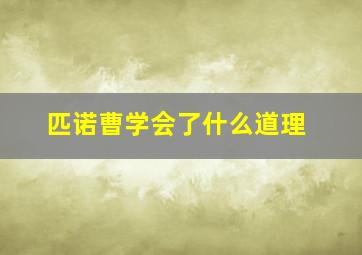 匹诺曹学会了什么道理