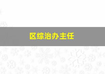 区综治办主任