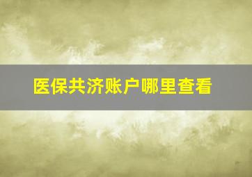 医保共济账户哪里查看