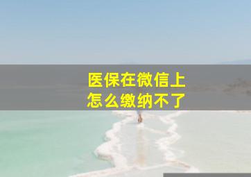 医保在微信上怎么缴纳不了