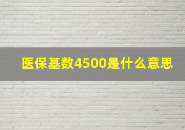 医保基数4500是什么意思