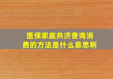 医保家庭共济查询消费的方法是什么意思啊