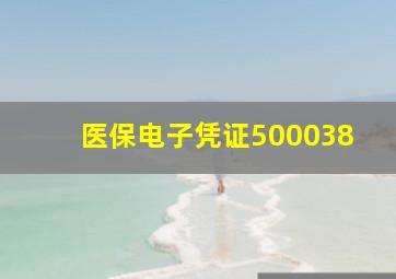 医保电子凭证500038