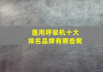 医用呼吸机十大排名品牌有哪些呢