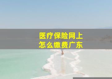 医疗保险网上怎么缴费广东