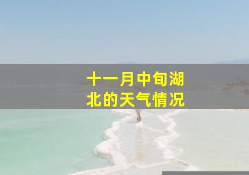 十一月中旬湖北的天气情况