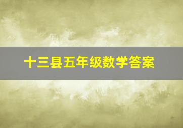 十三县五年级数学答案