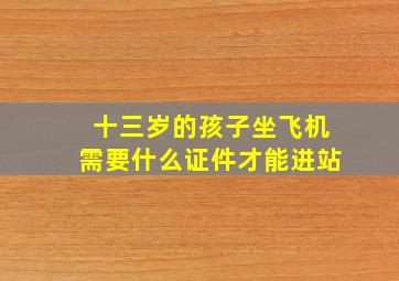 十三岁的孩子坐飞机需要什么证件才能进站