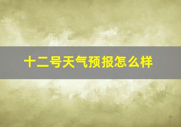 十二号天气预报怎么样