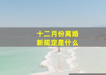 十二月份离婚新规定是什么