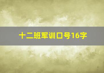 十二班军训口号16字