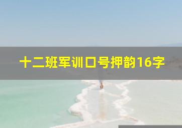 十二班军训口号押韵16字