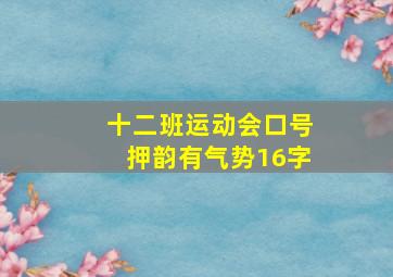 十二班运动会口号押韵有气势16字