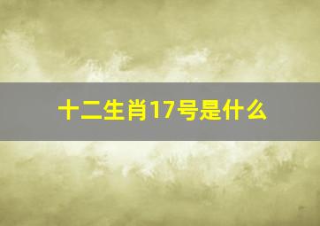 十二生肖17号是什么