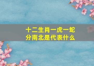 十二生肖一虎一蛇分南北是代表什么