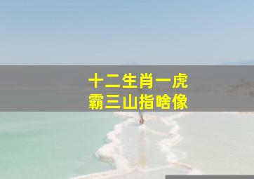 十二生肖一虎霸三山指啥像