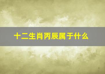 十二生肖丙辰属于什么